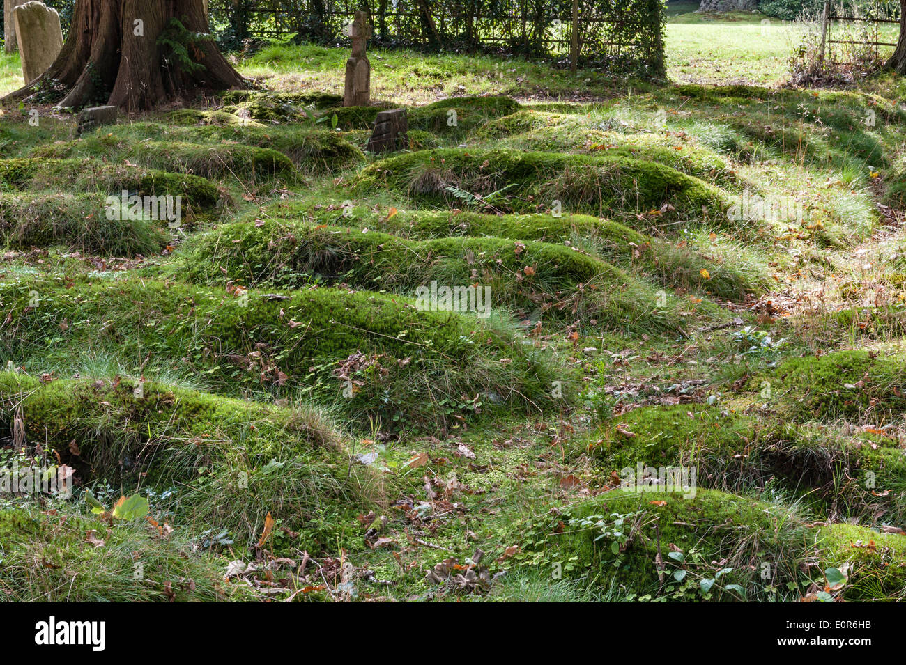 Medieval burial mounds in the churchyard of Old St Luke, Milland, Sussex, UK. The church dates back to at least the 11c Stock Photo