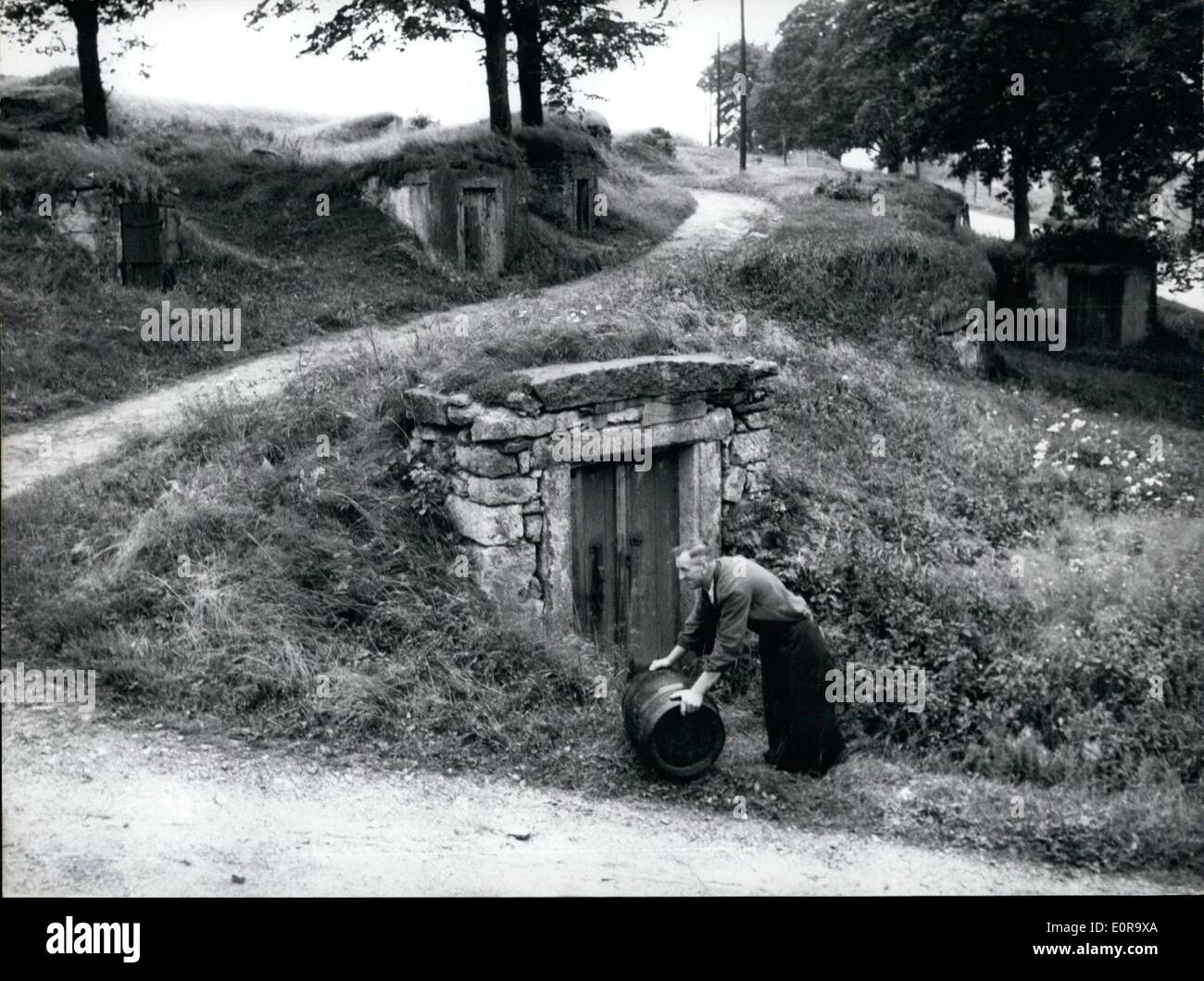 Nov. 11, 1958 - ''A Beer cellar for everyone'': Seems to be the motive for the town of Weissenstadt/Fichtelgebirge. As the citizens and farmers still brew their own beer they had to look for suitable places where they could keep the precious fluid. The problem was solved very cleverly: a mountain has been inter weaved by small tunnels like a labyrinth. Every tunnel is about 10 meter deep and has its owner. The beer is kept there during summer and winter at constant temperatures between 6 and 8 degrees Celsius. Photo shows The ''Kellerberg'' which looks as if it is covered with molehill. Stock Photo