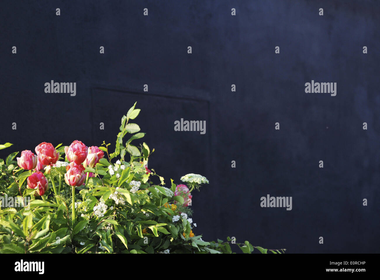 Chelsea, London, UK. 19th May 2014. A floral display in the Gucci Garden (designed by Sarah Eberle) at the Chelsea Flower Show. Credit:  Michael Preston/Alamy Live News Stock Photo