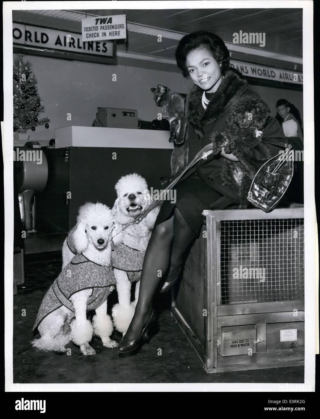 Dec. 12, 1959 - Exotic Songstress Eartha Kitt, One Never To Be Separated From Her Personal Menagerie Is Caught Surrounded By Her Pets Prior To Boarding A TWA Jet Liner To Los Angeles Where She Will Enjoy A 10 Day Visit During The Holiday Season. Stock Photo
