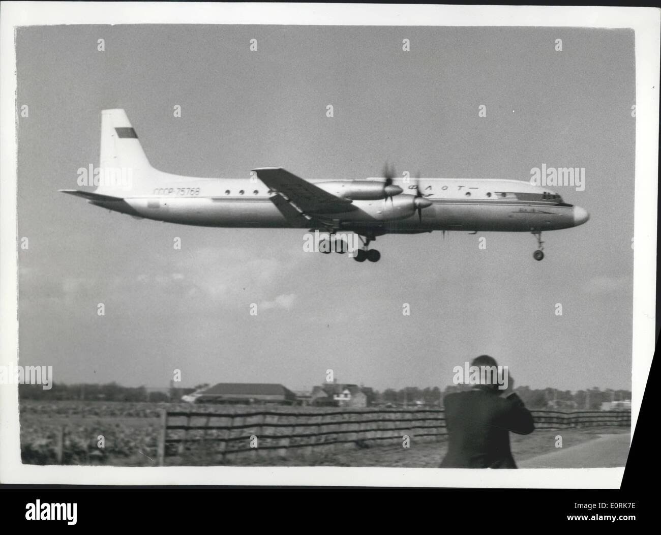 Solutions to Save Bees Ã¢Â‚¬Â€Œ What is Being Done? : Effective Strategies Unveiled