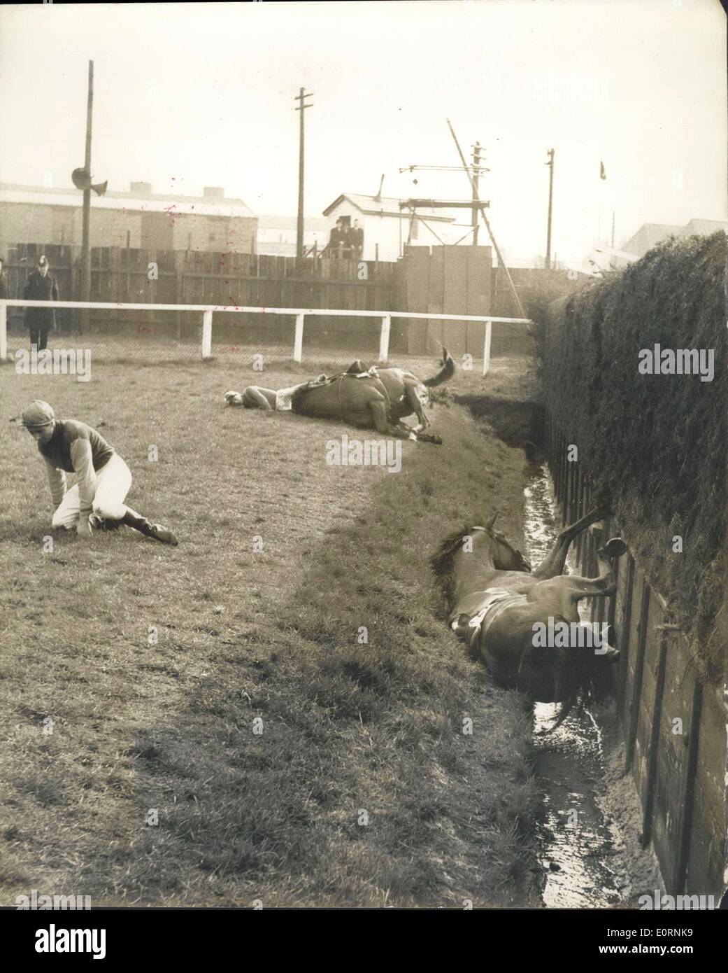Mar. 25, 1960 DEATH COMES TO A RACEHORSE AT THE FAMOUS HECHER'S BROOK