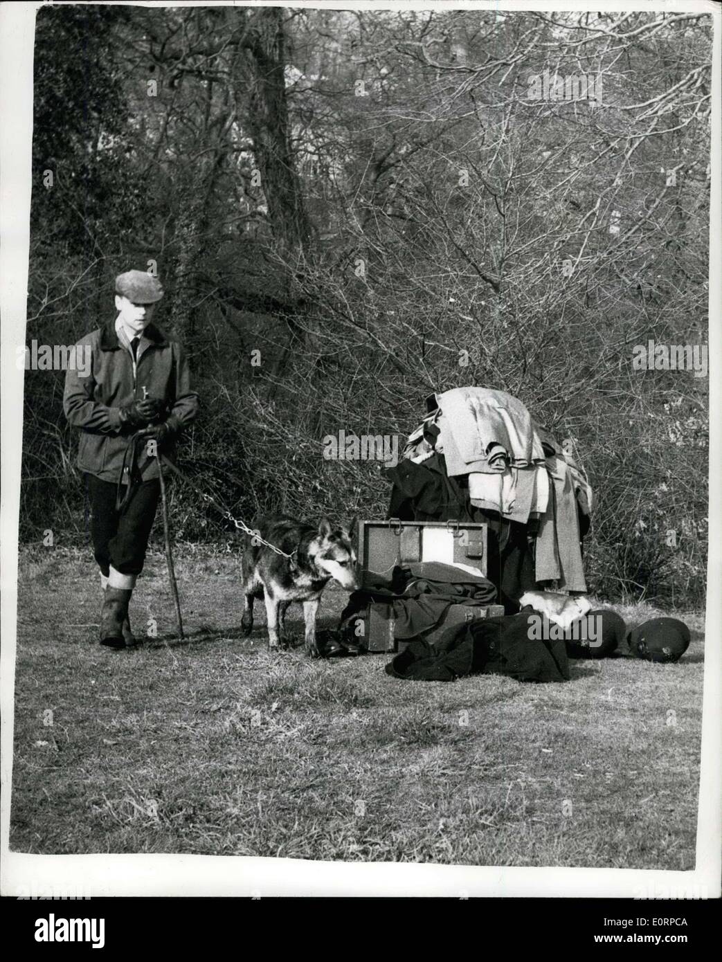 Feb. 22, 1960 - Police Search Woods For Killer Of Nine Year Old Child - Near Southampton: Police with mine detectors - dogs - etc. were to be seen searching in the woods around Mayfield Park, Southampton - following the discovery of the body of nine year old Iris Dawkins. Shehad been stabbed to death. Police have the theory that it may have been done by another youngster. Photo shows A Policeman with police dog Wendy - during the search in the area where the girl was found dead. Stock Photo