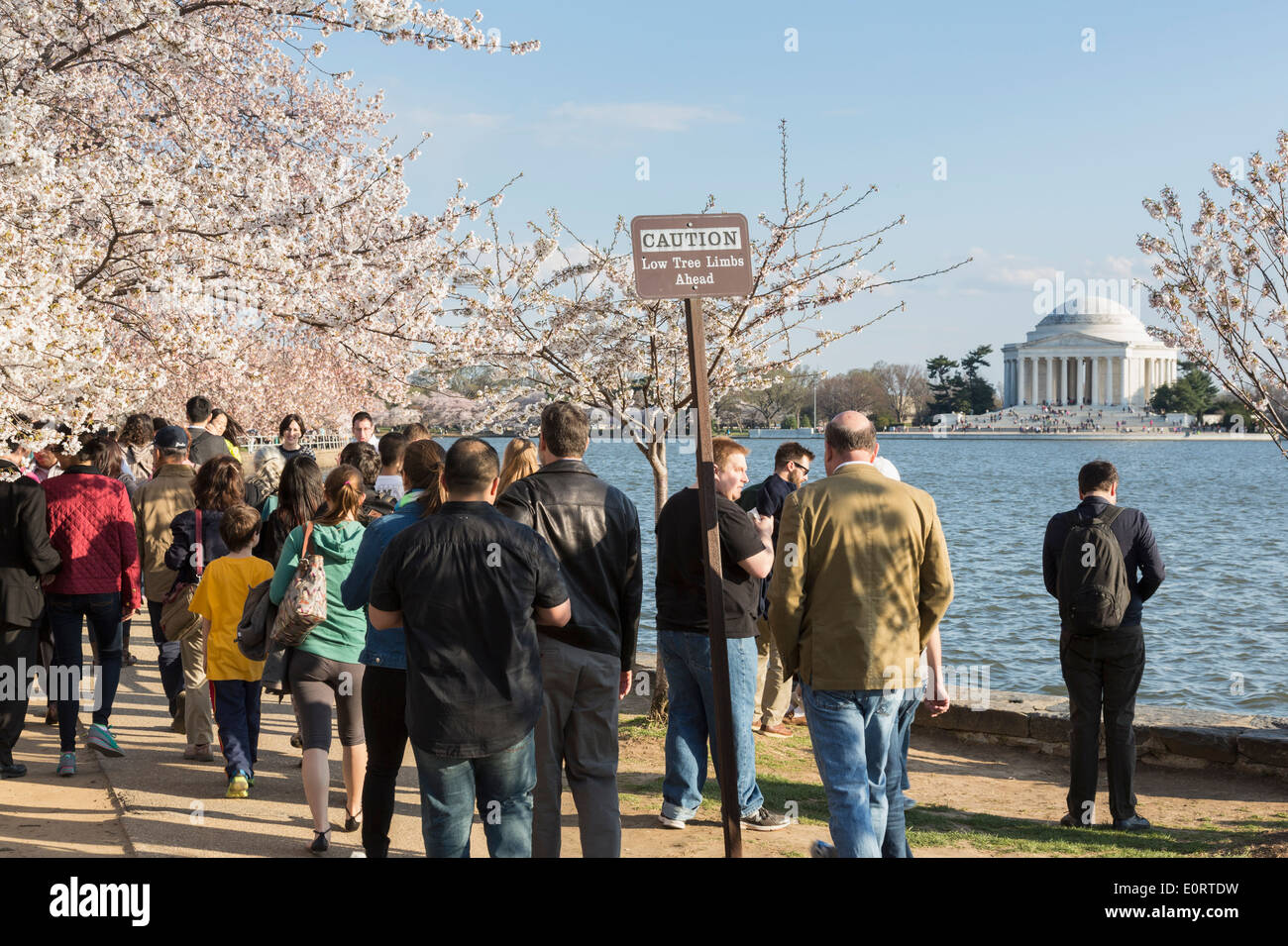 Tourists in Washington DC, USA in Spring at the Tidal Basic for the National Cherry Blossom Festival Stock Photo