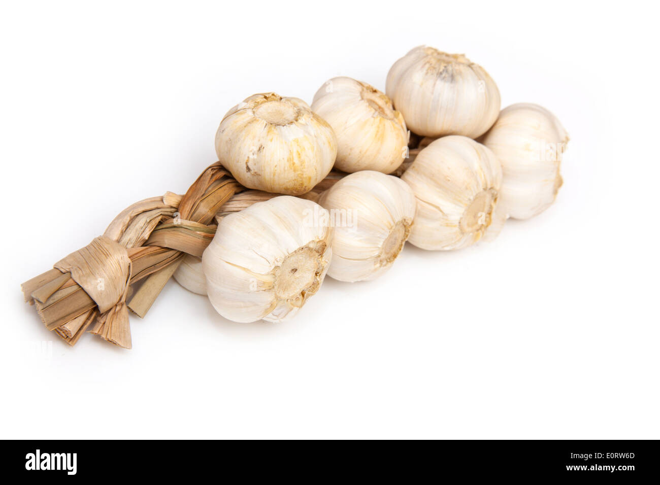 String of Garlic bulbs isolated on a white studio background. Stock Photo