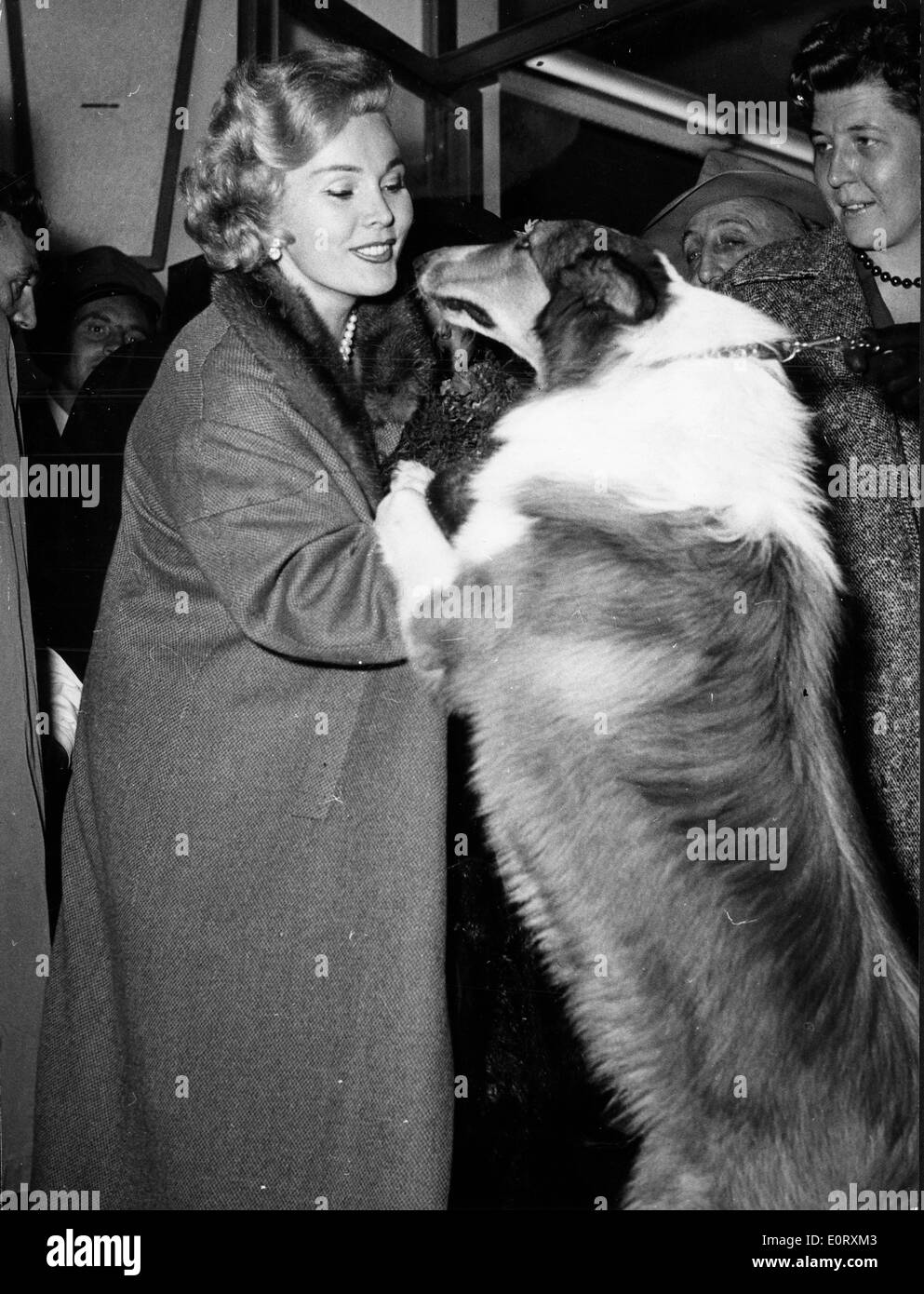 Zsa Zsa Gabor with a dog Stock Photo
