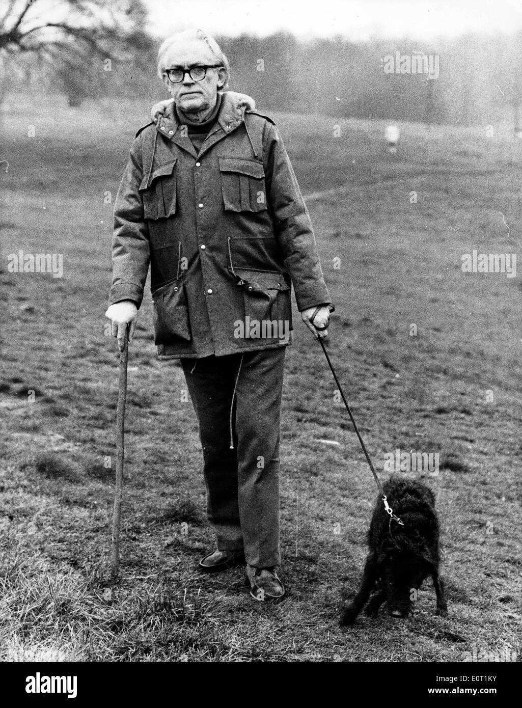 Politician Michael Foot walking his dog Stock Photo