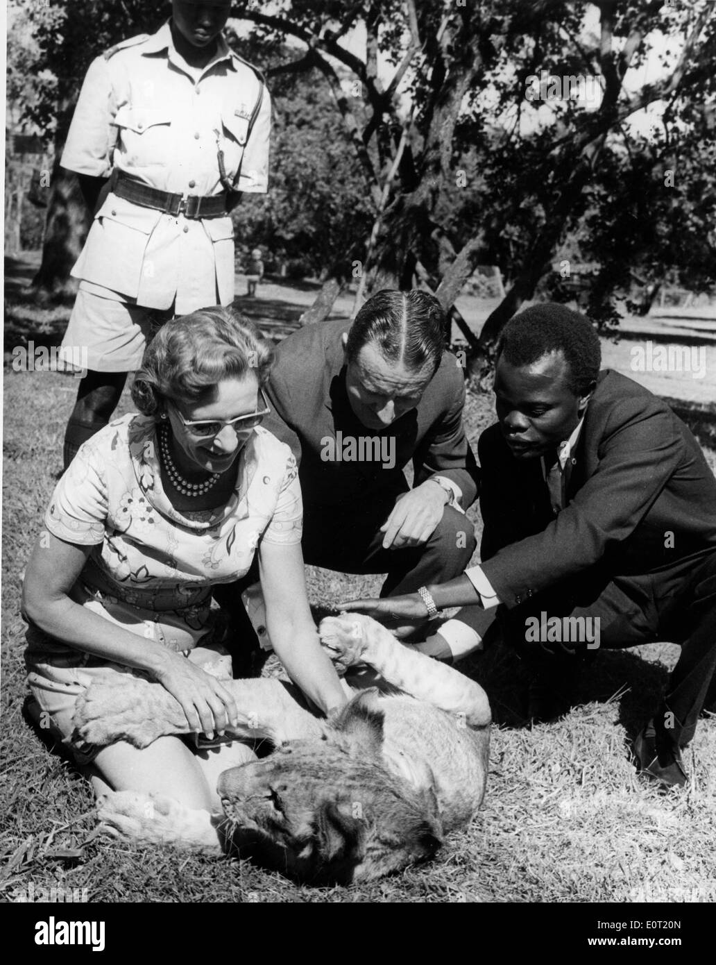 Lion Suit High Resolution Stock Photography and Images Alamy