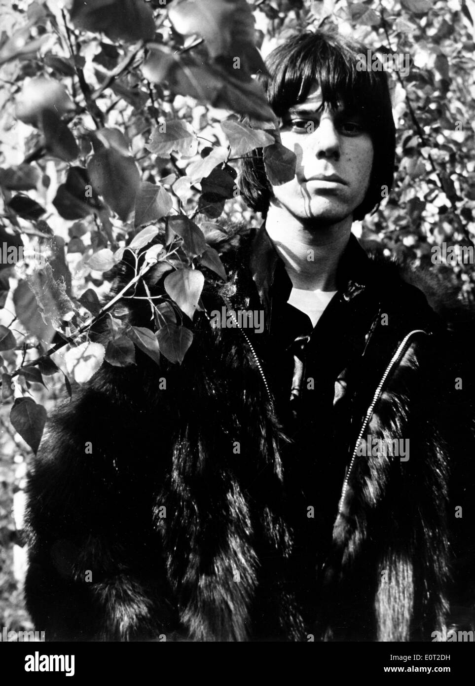 Portrait of guitarist Jeff Beck in trees Stock Photo