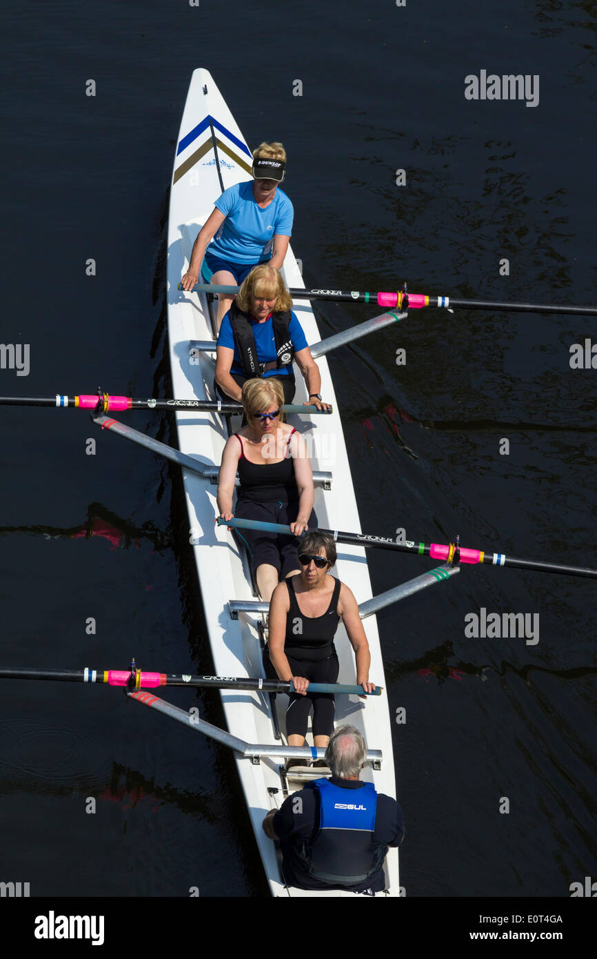 Mature women crew rowing on river wear in Durham city. UK Stock Photo ...