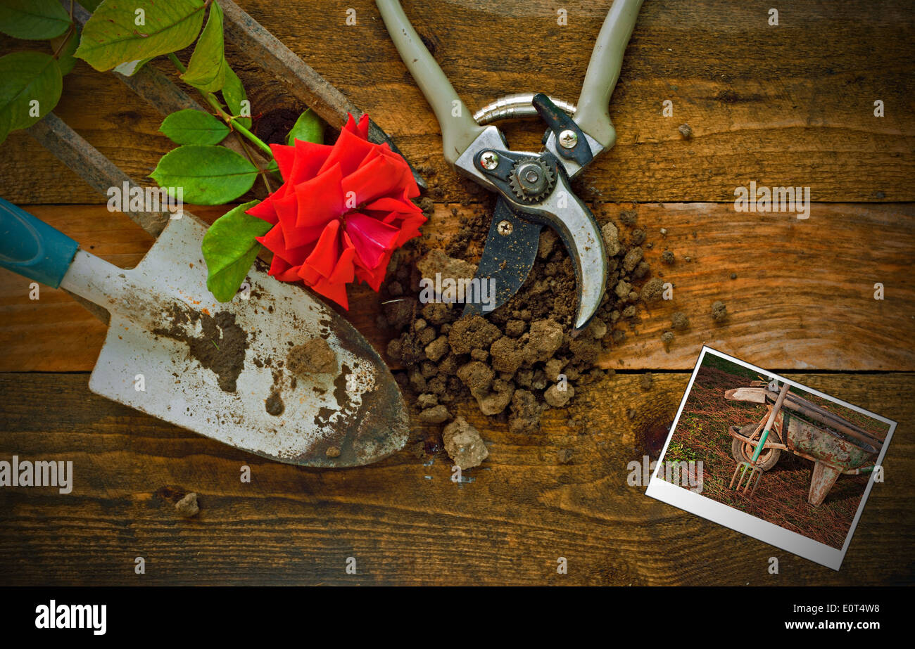 Gardening tools table hi-res stock photography and images - Alamy