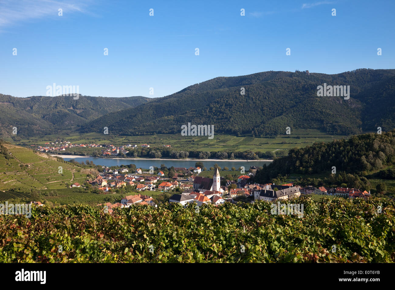 Weinberge in Spitz/Donau, Österreich, Niederösterreich, Wachau - Vineyards in Spitz/Donau, Austria, Lower Austria, Wachau Stock Photo