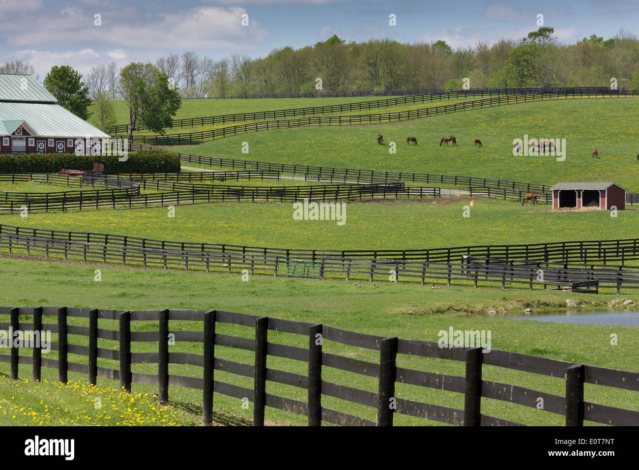 Horse farm with fencing, in West Charlton, Saratoga County, New York State Stock Photo