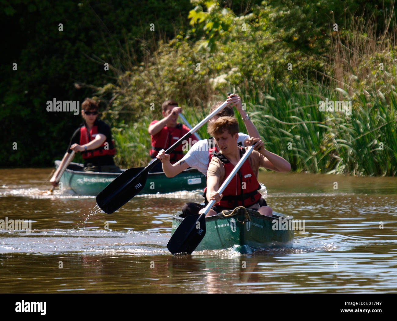 Teenage boys canoeing along the Bude canal, Cornwall, UK Stock Photo