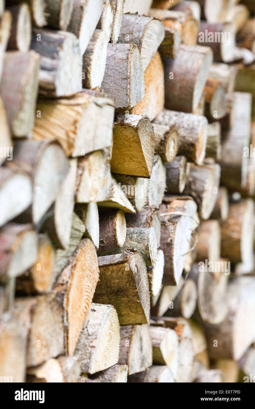 Brennholzstapel - firewood Stock Photo