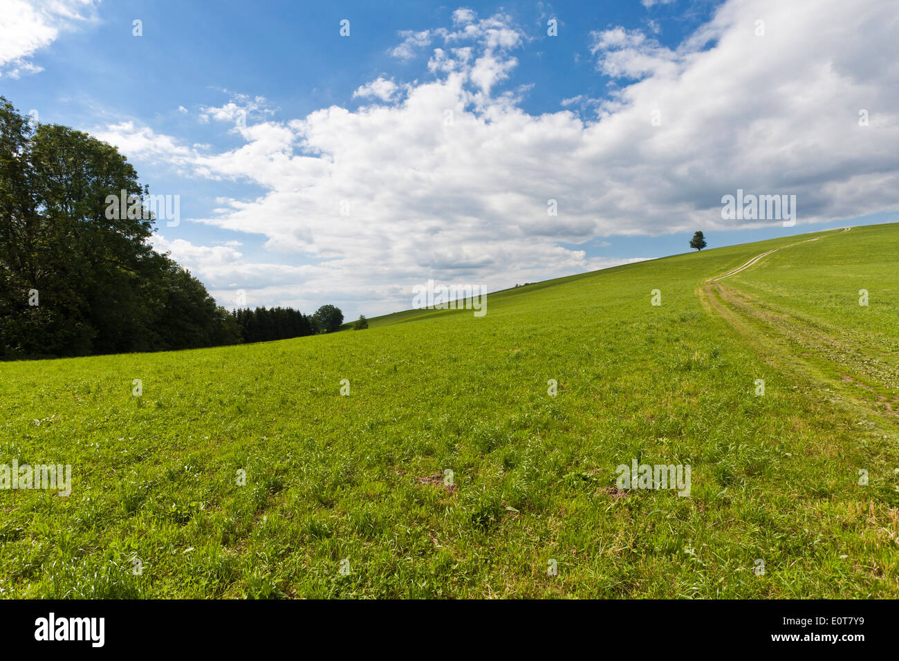 Wiesenweg - Rual way Stock Photo