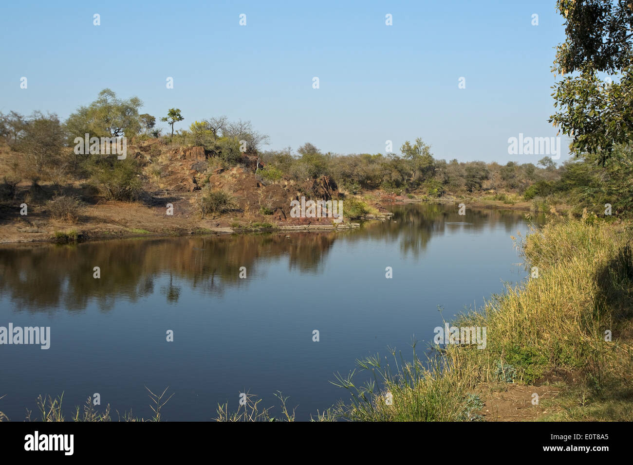 View from Sweni Bird Hide in Kruger National Park, South Africa Stock Photo