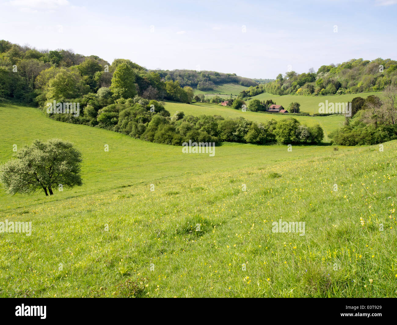 Green valley with houses Stock Photo Alamy