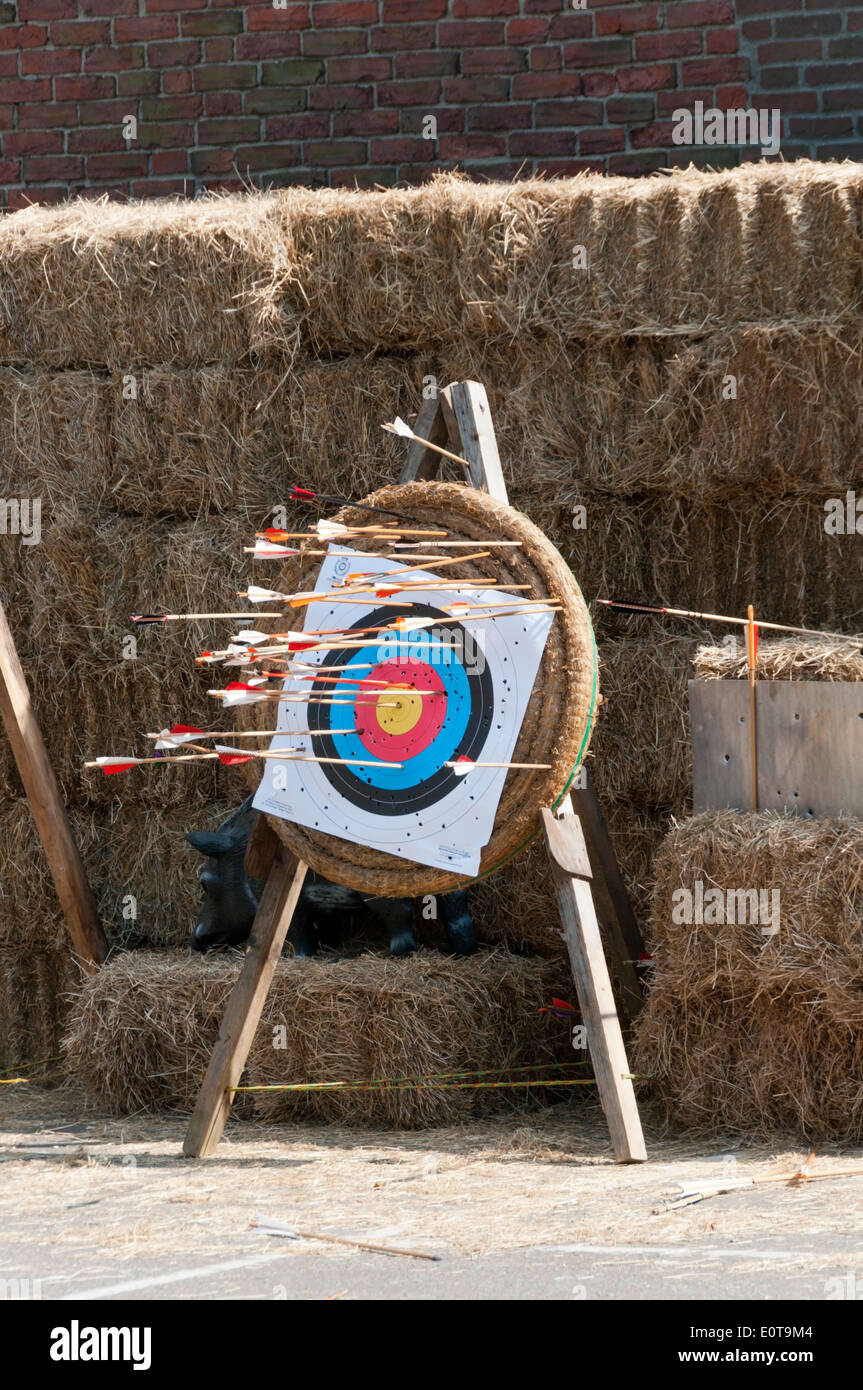 An archery target pierced by a large number of arrows in front of straw