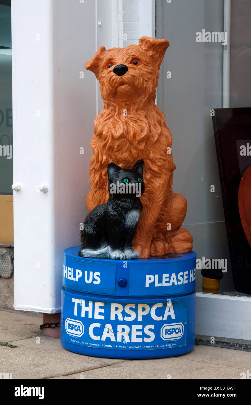 RSPCA street collection box Stock Photo Alamy