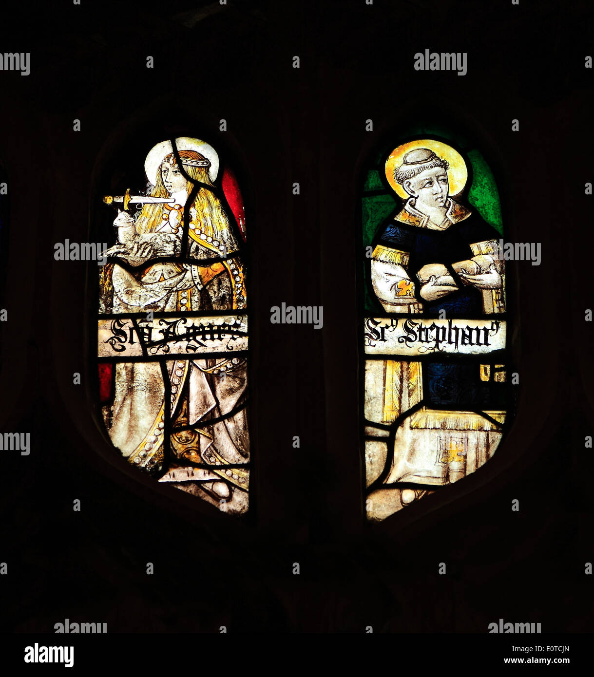 Medieval stained glass, St. Agnes with dagger at her neck, holding a lamb, St. Stephen holding stones of martyrdom, Sandringham Stock Photo