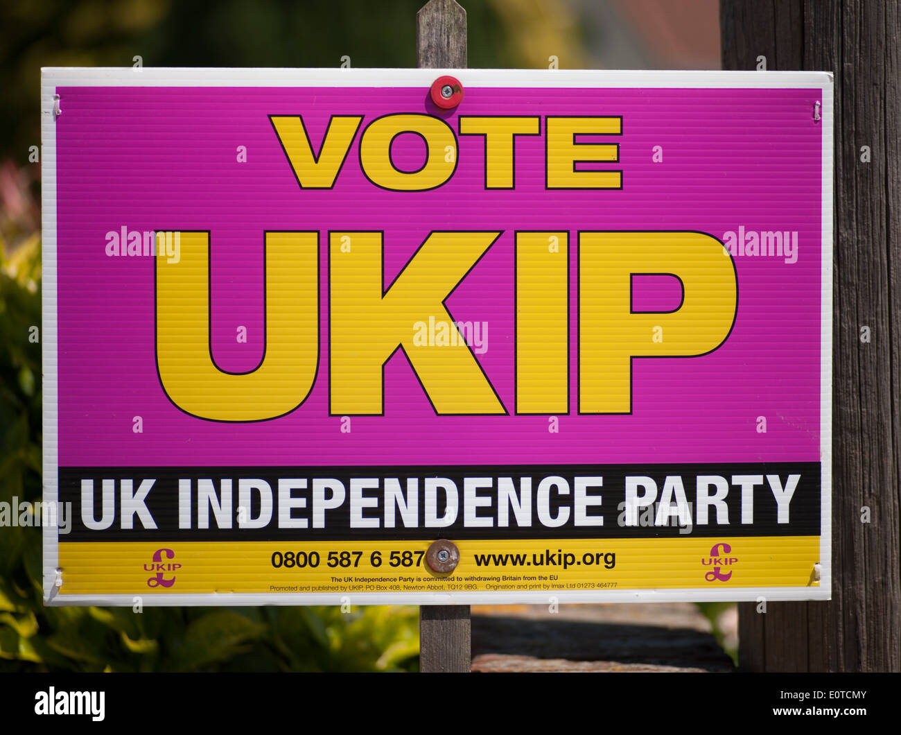 Vote UKIP and DONT VOTE UKIP election signs put up in the same street Stock Photo