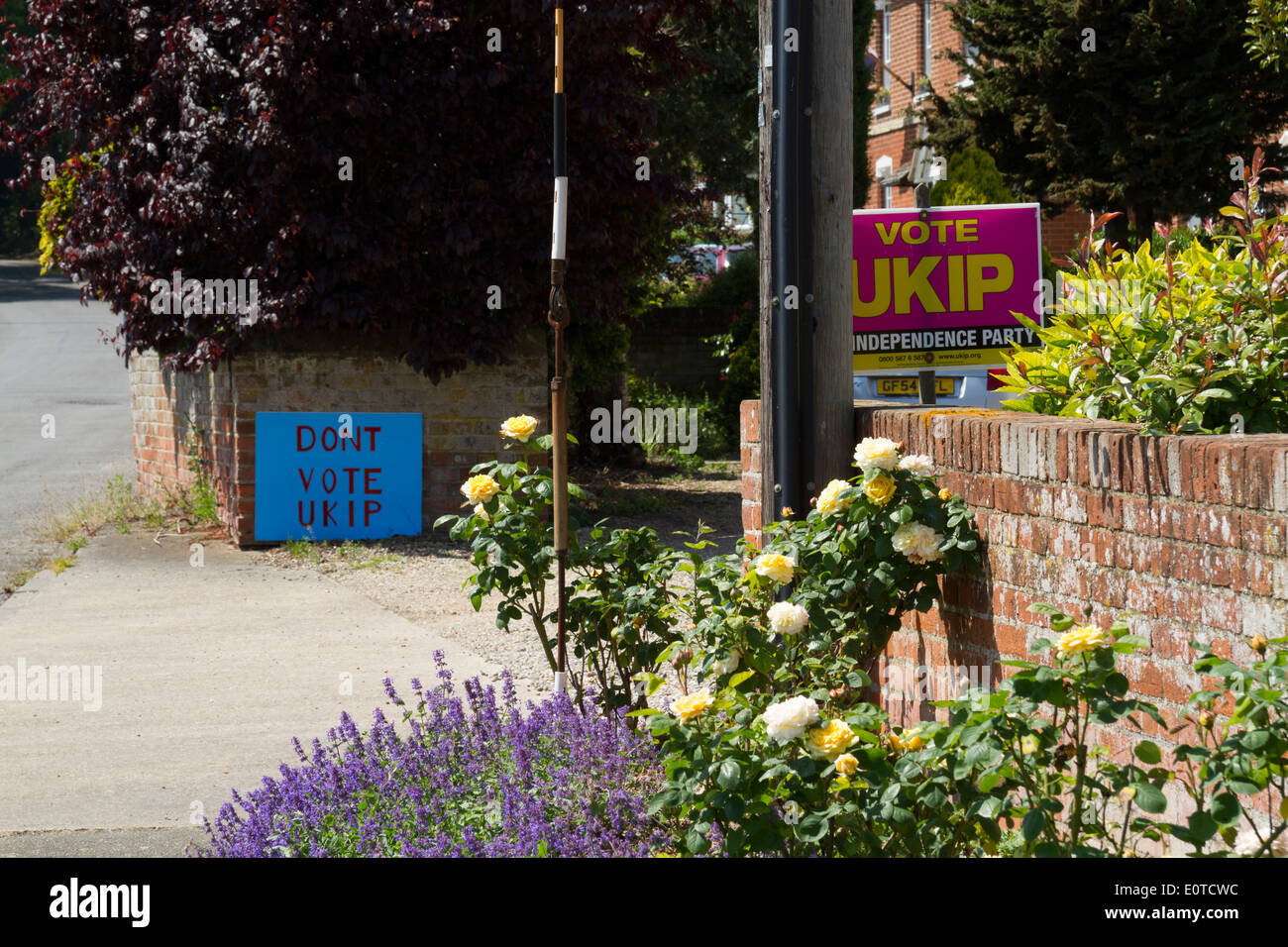 Vote UKIP and DONT VOTE UKIP election signs put up in the same street Stock Photo