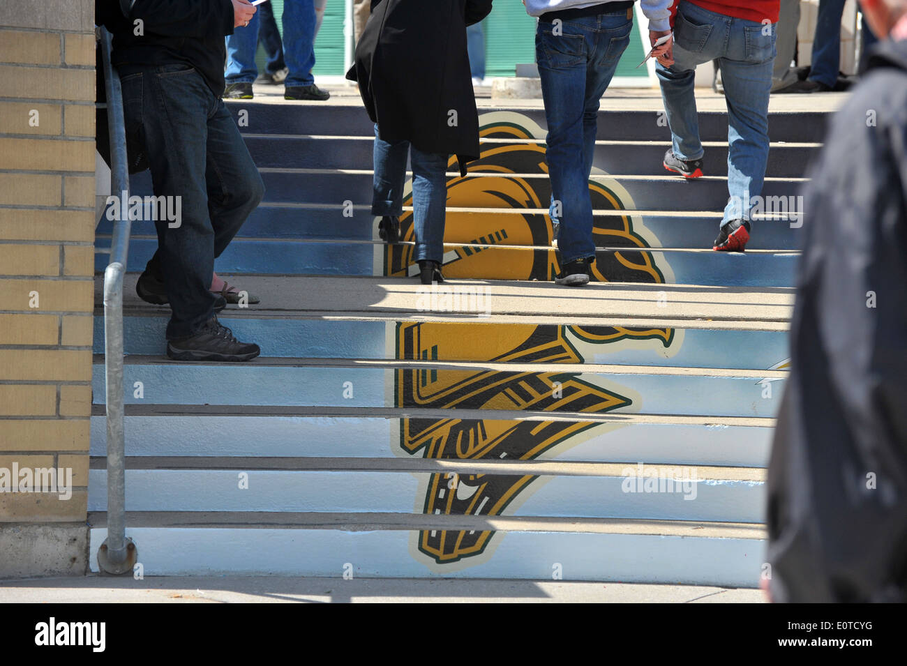 The London Knights ice hockey team logo on the steps outside Budweiser