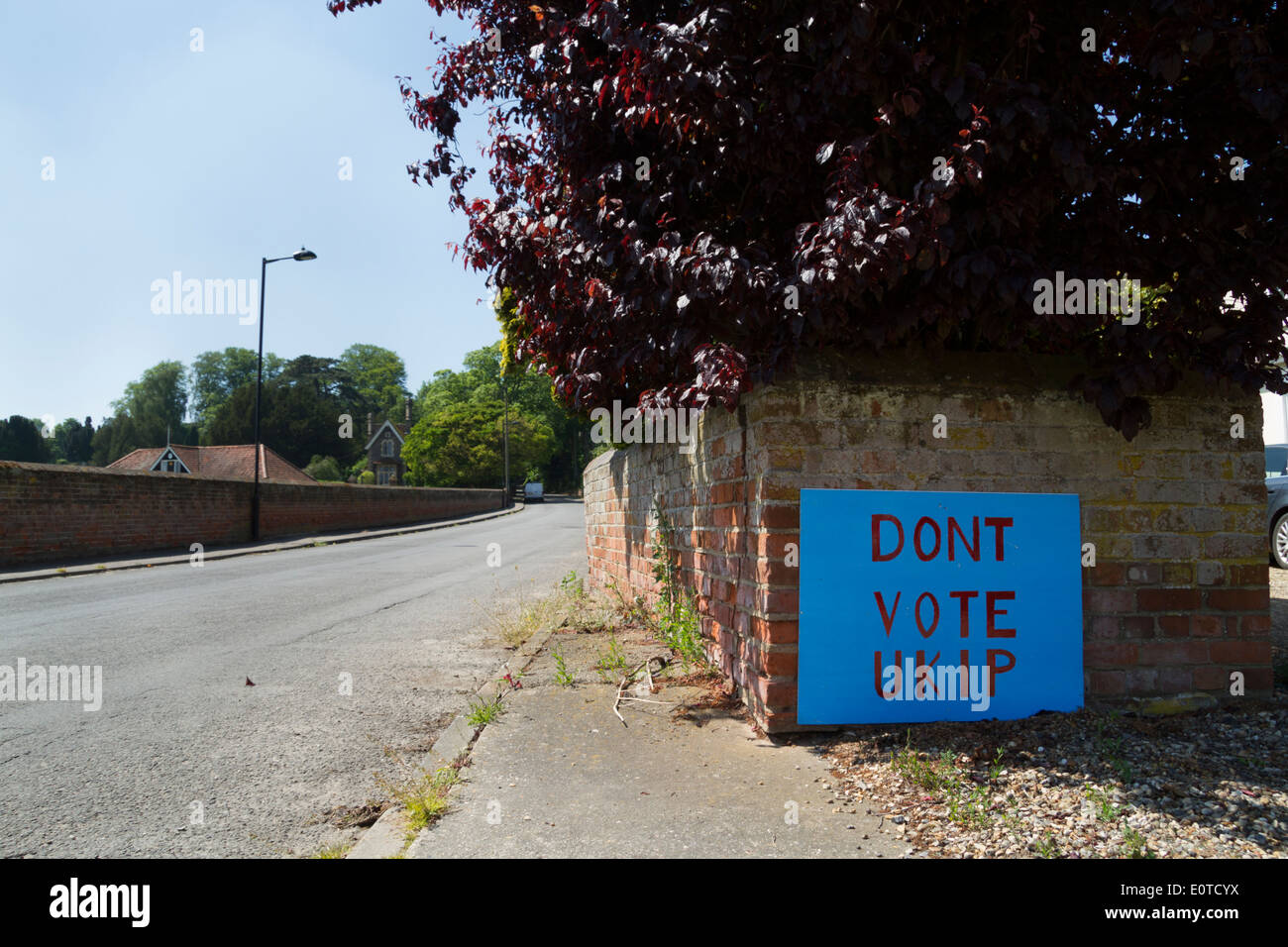 Vote UKIP and DONT VOTE UKIP election signs put up in the same street Stock Photo