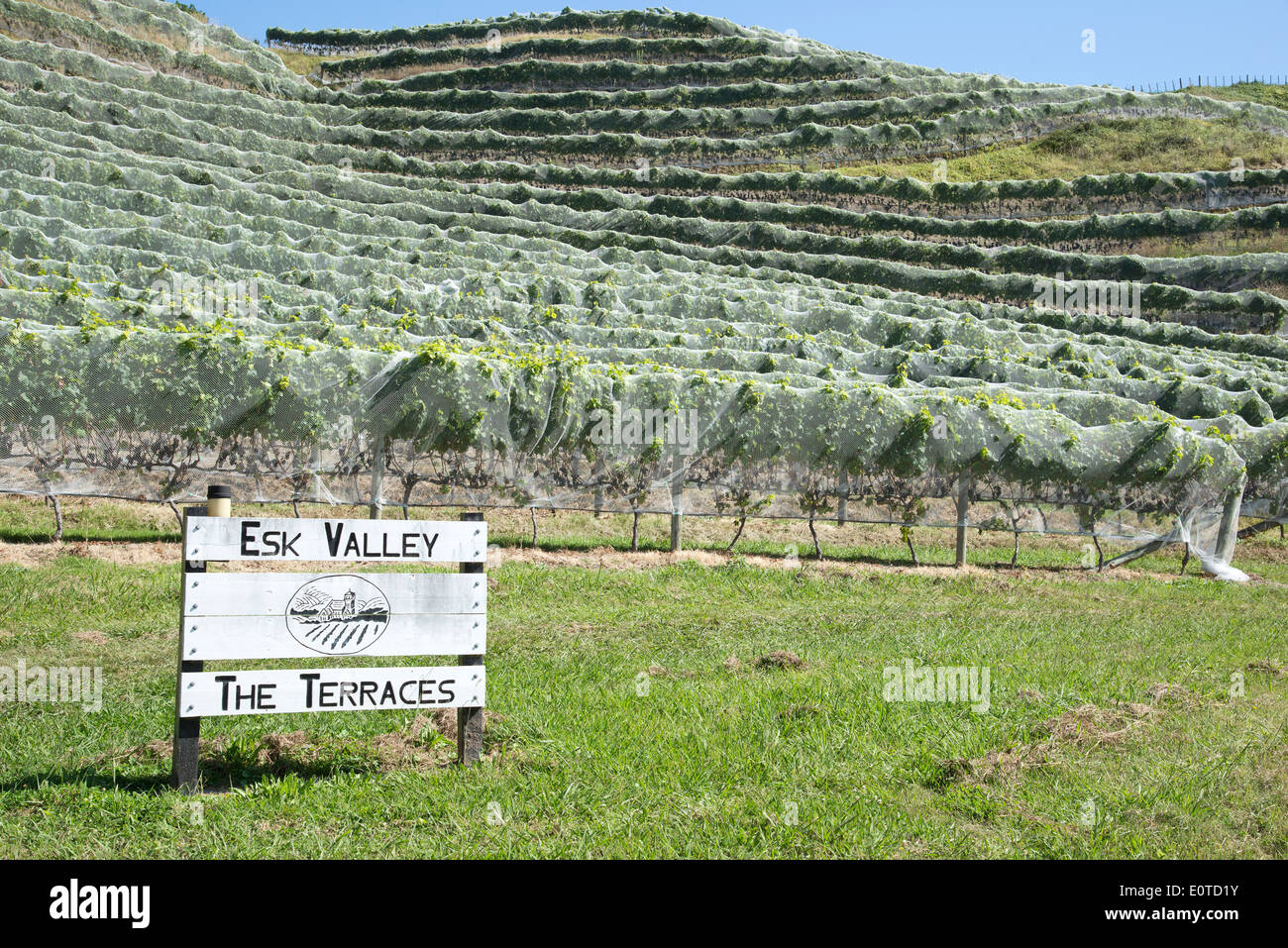 Esk Valley wine estate Bay View Napier New Zealand The Hawkes Bay
