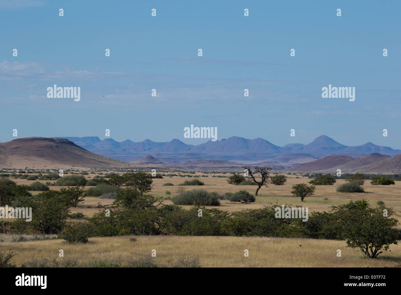 African savannah landscape hi-res stock photography and images - Alamy