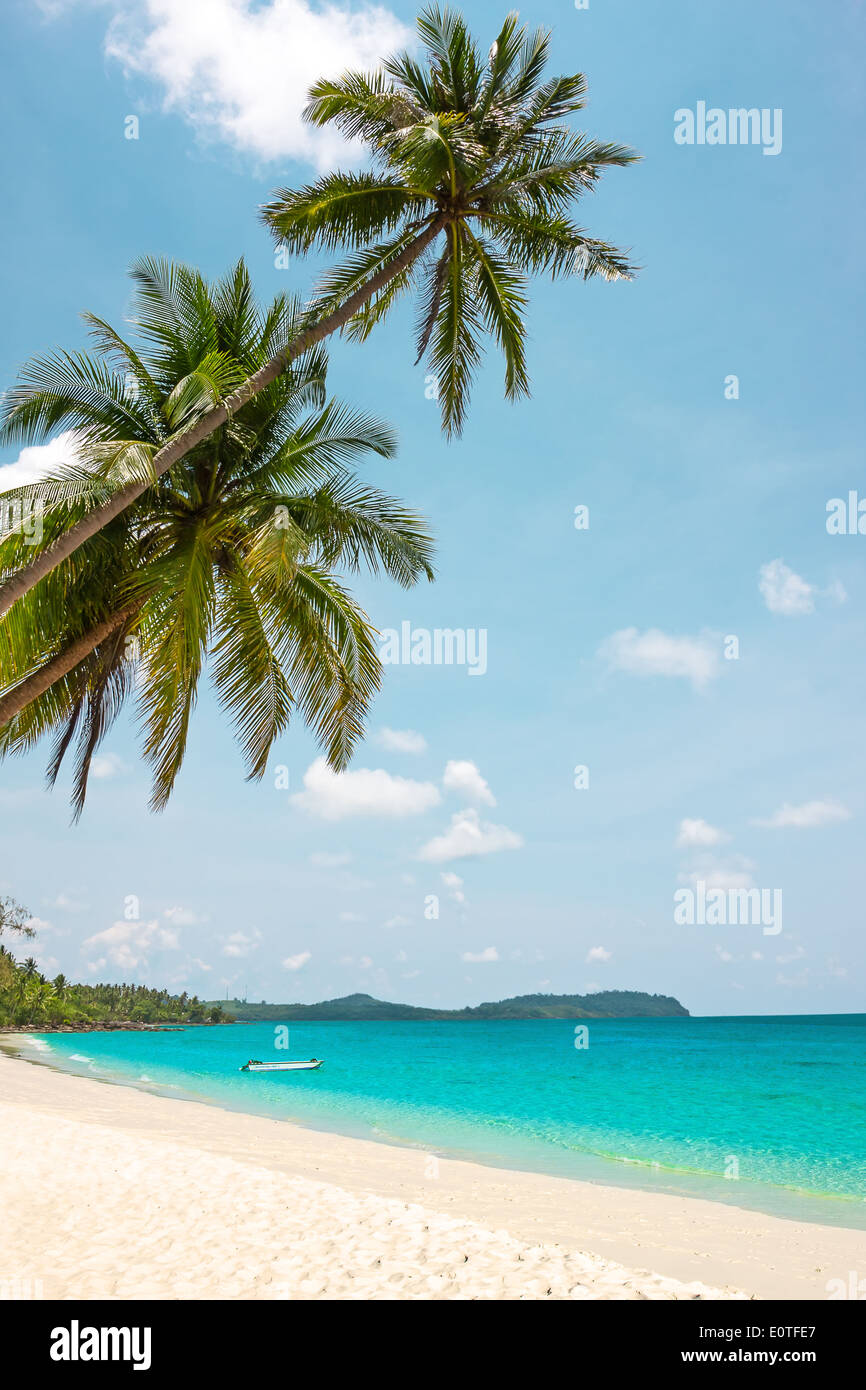 Tropical white sand with palm trees at Koh Kood, Thailand Stock Photo