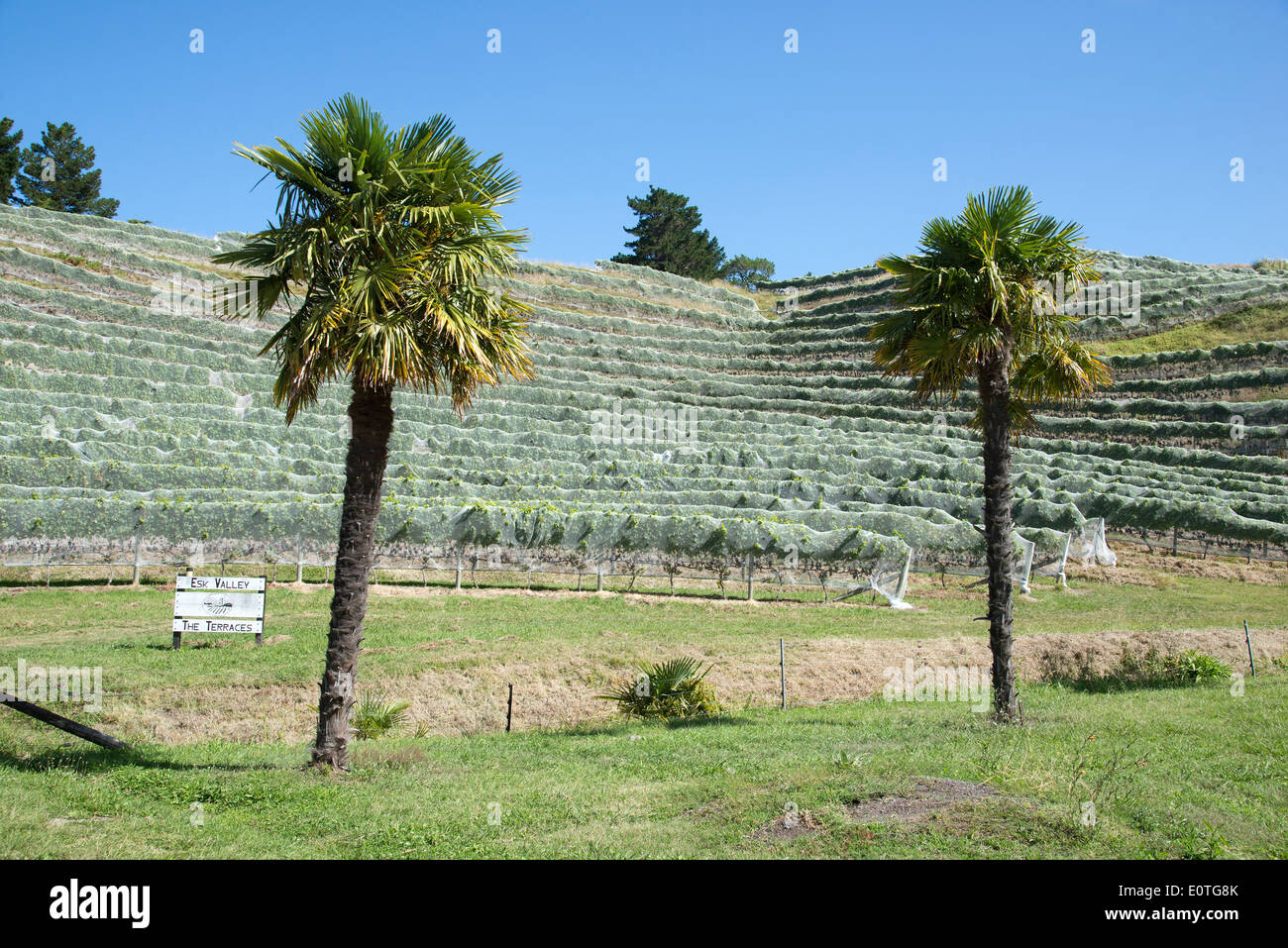 Esk Valley wine estate Bay View Napier New Zealand The Hawkes Bay