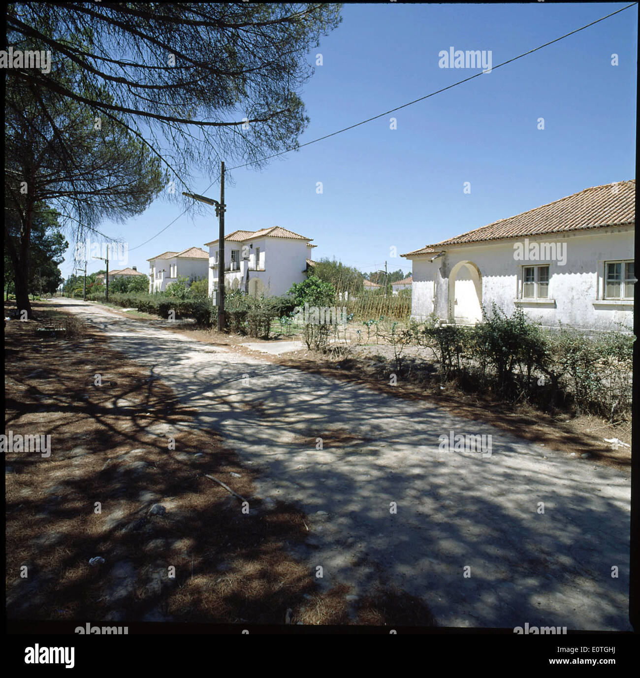 Vale da Judia, Herdade de Pegões, Montijo, Portugal Stock Photo