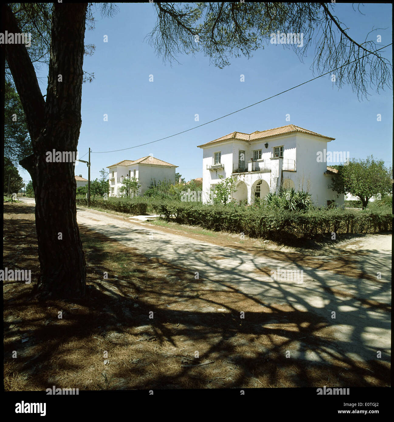 Vale da Judia, Herdade de Pegões, Montijo, Portugal Stock Photo