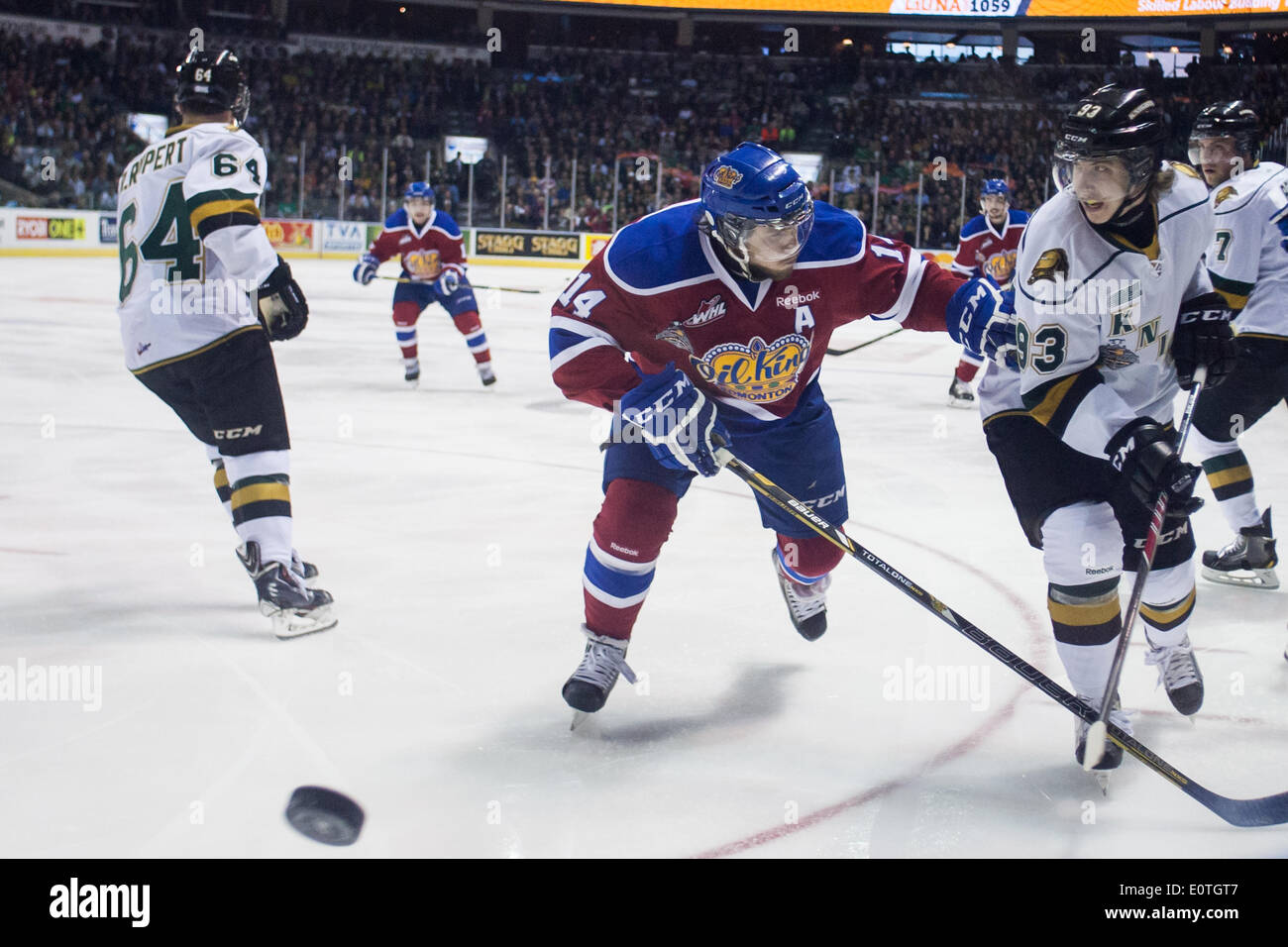 London, Ontario, Canada. 18th May 2014. London Knights forward Mitchell Marner (93) tries to evade Riley Kieser (14) of the Edmonton Oil Kings at the Memorial Cup in London Ontario, on May 19, 2014. Edmonton defeated the Knights 5-2 to improve their record to 1-1 while the host Knights drop to 0-2. Credit:  Mark Spowart/Alamy Live News Stock Photo