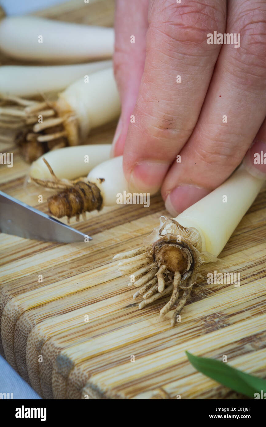 Ramps vegetable hires stock photography and images Alamy