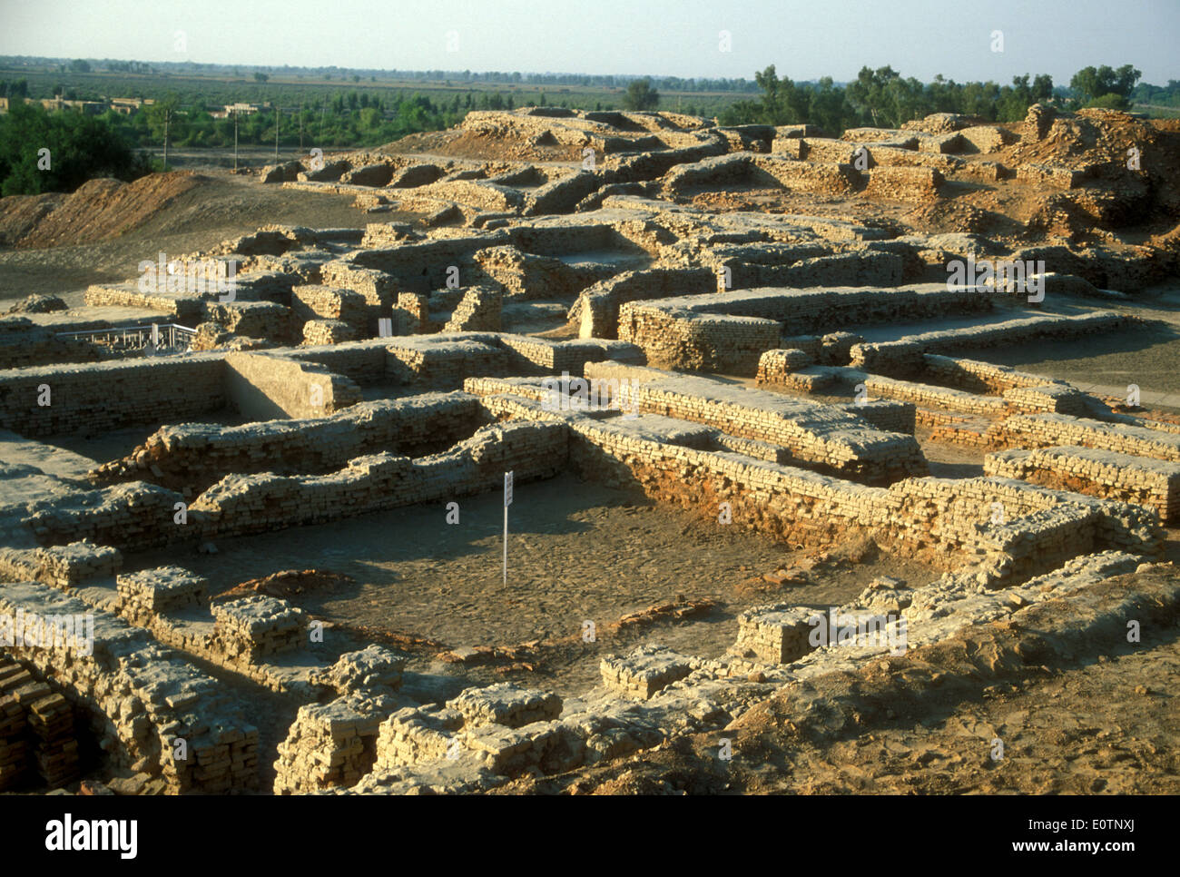 View of the "College" area of Mohenjo-daro dated to 2500 BCE,  one of the largest settlements of the ancient Indus Valley Civilisation Stock Photo