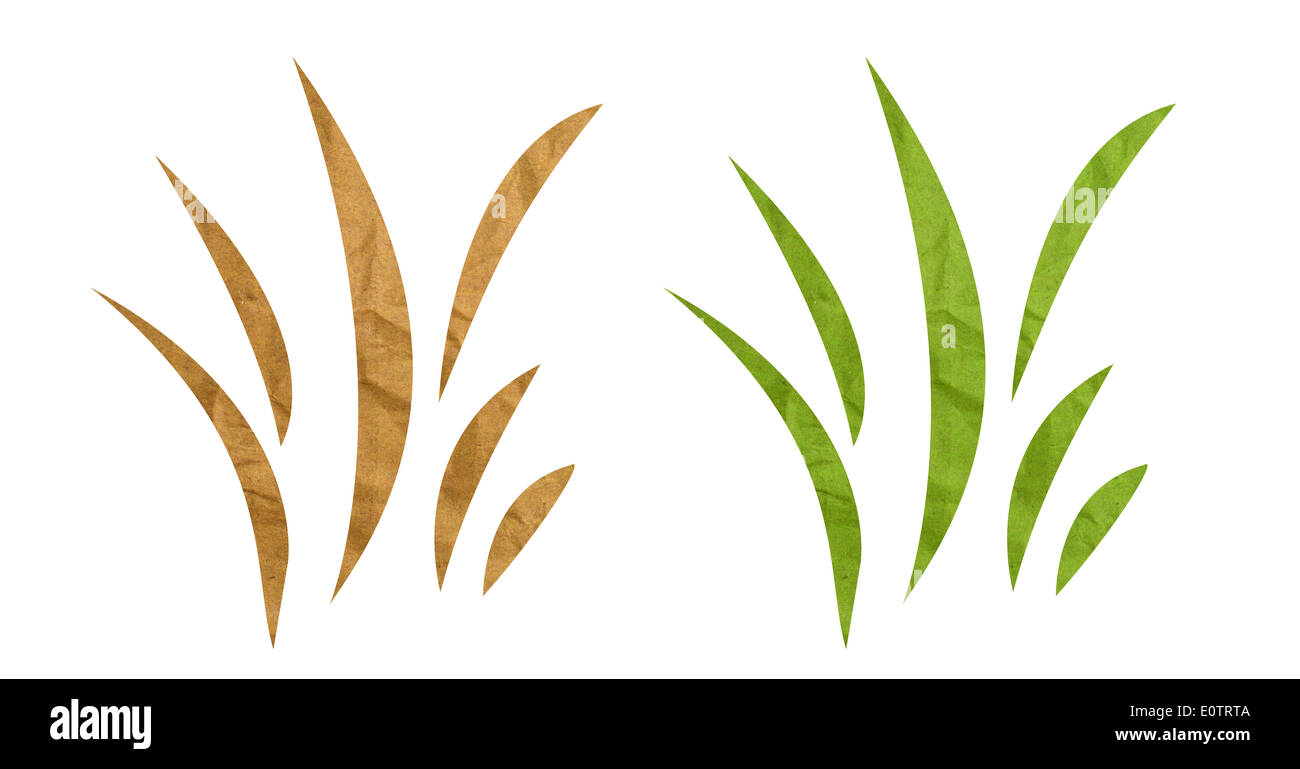 Paper grass on white background Stock Photo Alamy