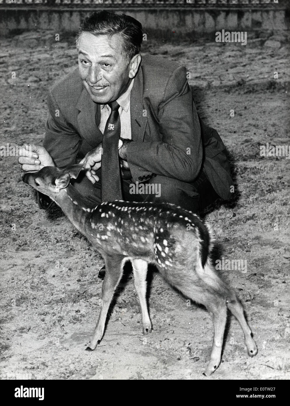 Walt Disney with a fawn at the Berlin Zoo Stock Photo - Alamy