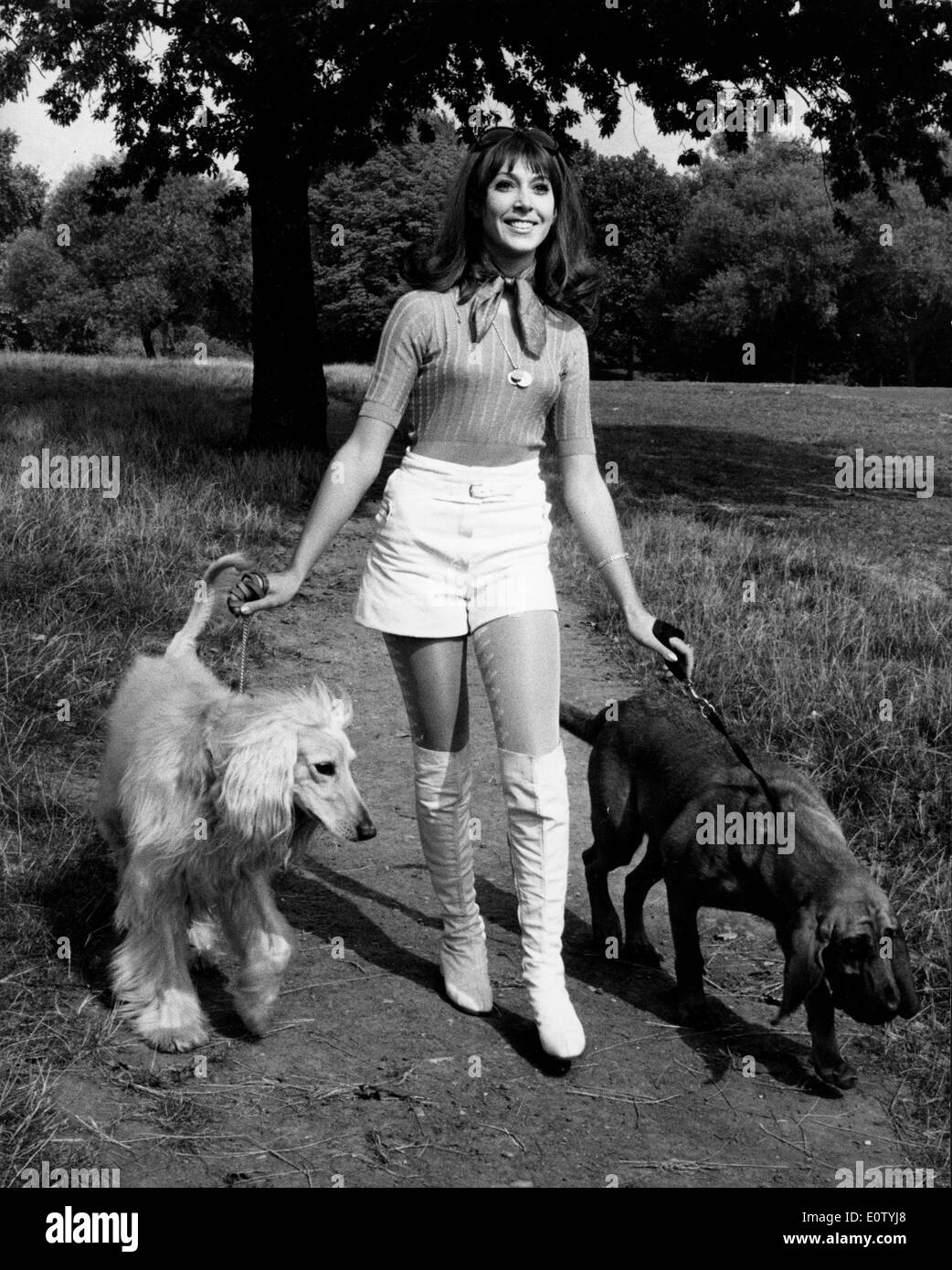 Entertainer Anita Harris walking her dogs Stock Photo