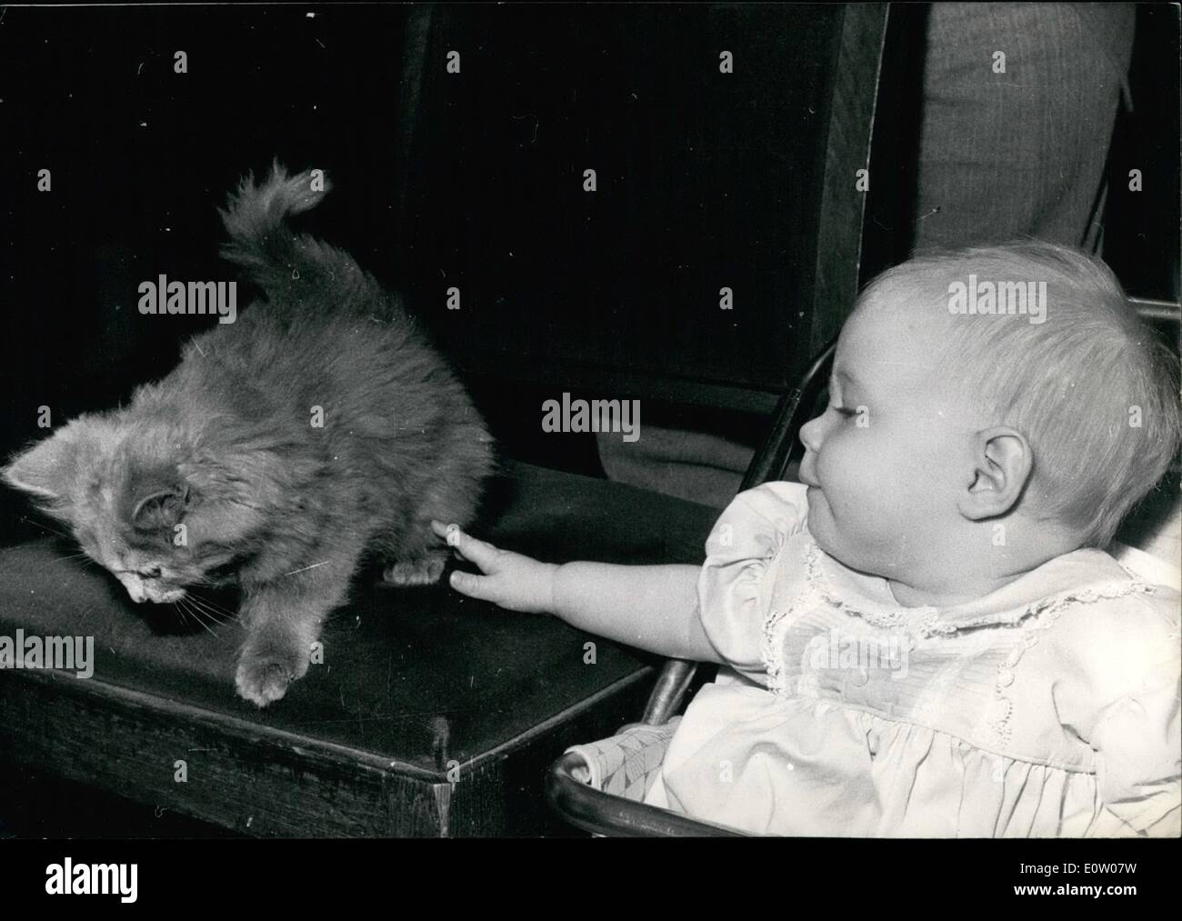 Oct. 10, 1960 - Seen at the cat show -----------ops: A Charming study of a baby with a kitten, at the annual cat show now being Stock Photo