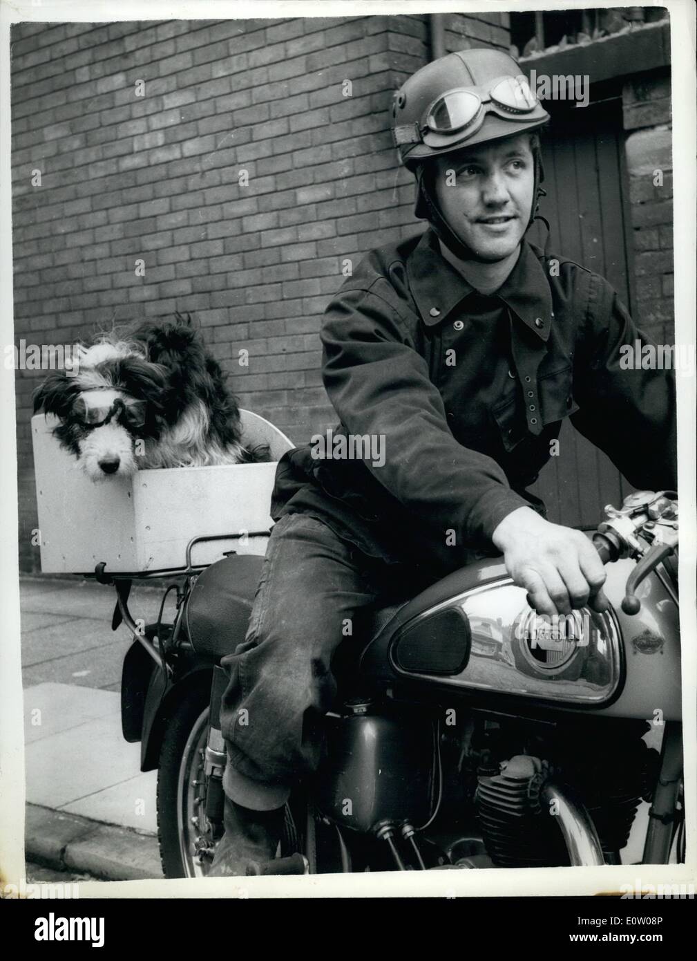 Oct. 10, 1960 - and ''Rover'' goes too.: Every time thirty one year old Raymond Peet of Preston- goes for a ride on his motor cycle - he has to take his pet dog - ''Rover'' along. or else 'Rover' wants to know why. Mr. Peet has fitted a special box on the back of his machine - for Rover - who always travels - complete with giggles. Stock Photo