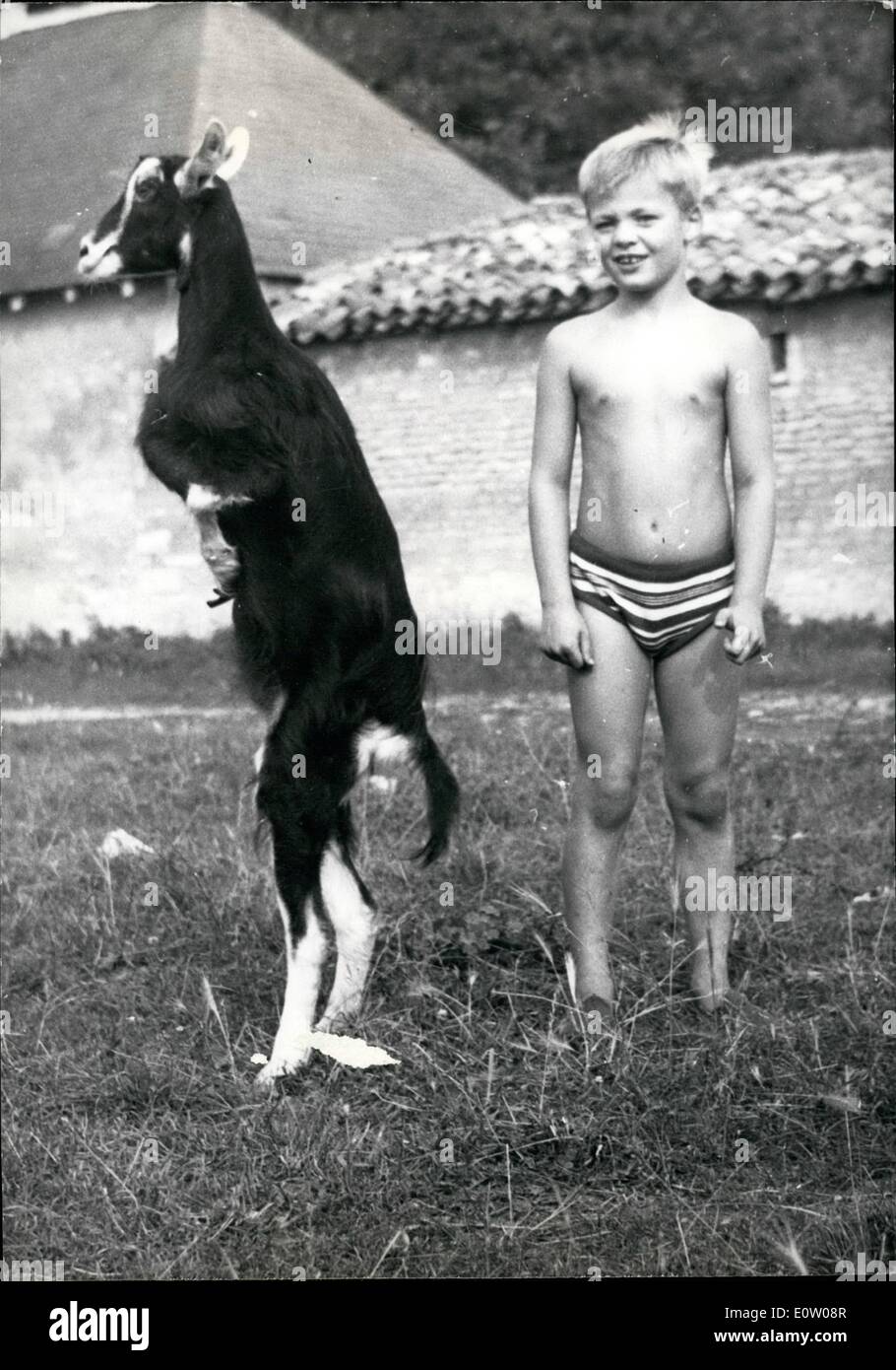 Oct. 10, 1960 - A goat-kangaroo: Two years ago a she goat with atrophied fore legs was born in a French farm near Poitiers. The Stock Photo