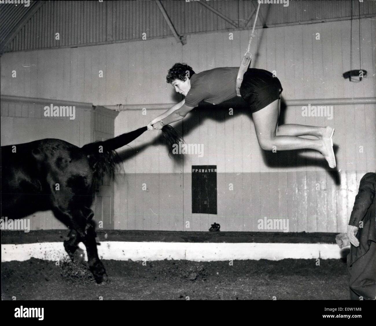 Nov. 24, 1960 - Preparing for the Royal Circus Performance Natalie Steward practises bareback riding: Natalie Steward, the swimmer with two Olympic medals, yesterday made her first attempt at bareback horse riding at Ascot. When Bertram Mills Circus was rehearsing for its Royal Performance on Dec.21 at Olympia in aid of the Imperial Cancer Research Fund. Natalie hopes to be a skilled rider in time for the performance in which she will take part Stock Photo
