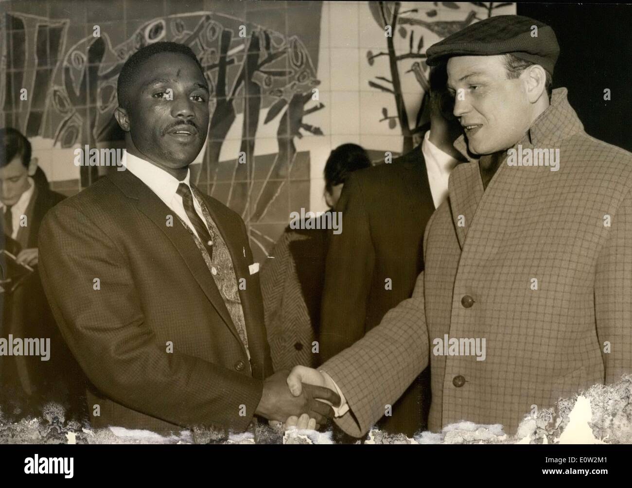 Gracieux lamperti hires stock photography and images Alamy