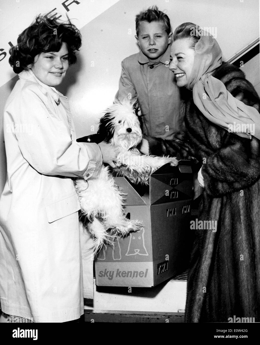 June Allyson with her kids and dog boarding an airplane Stock Photo