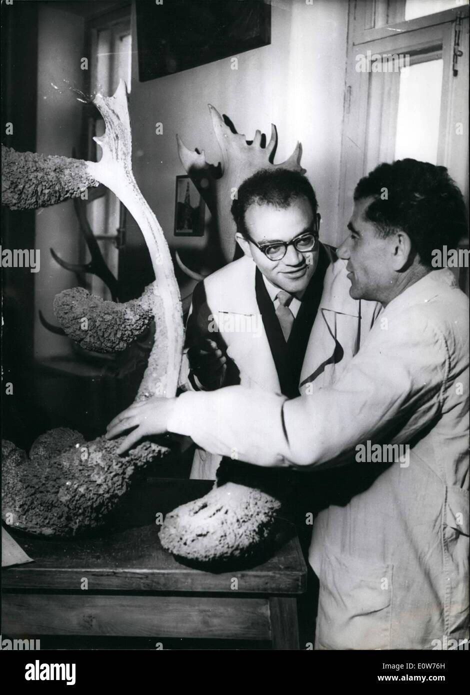 12 horn hires stock photography and images Alamy