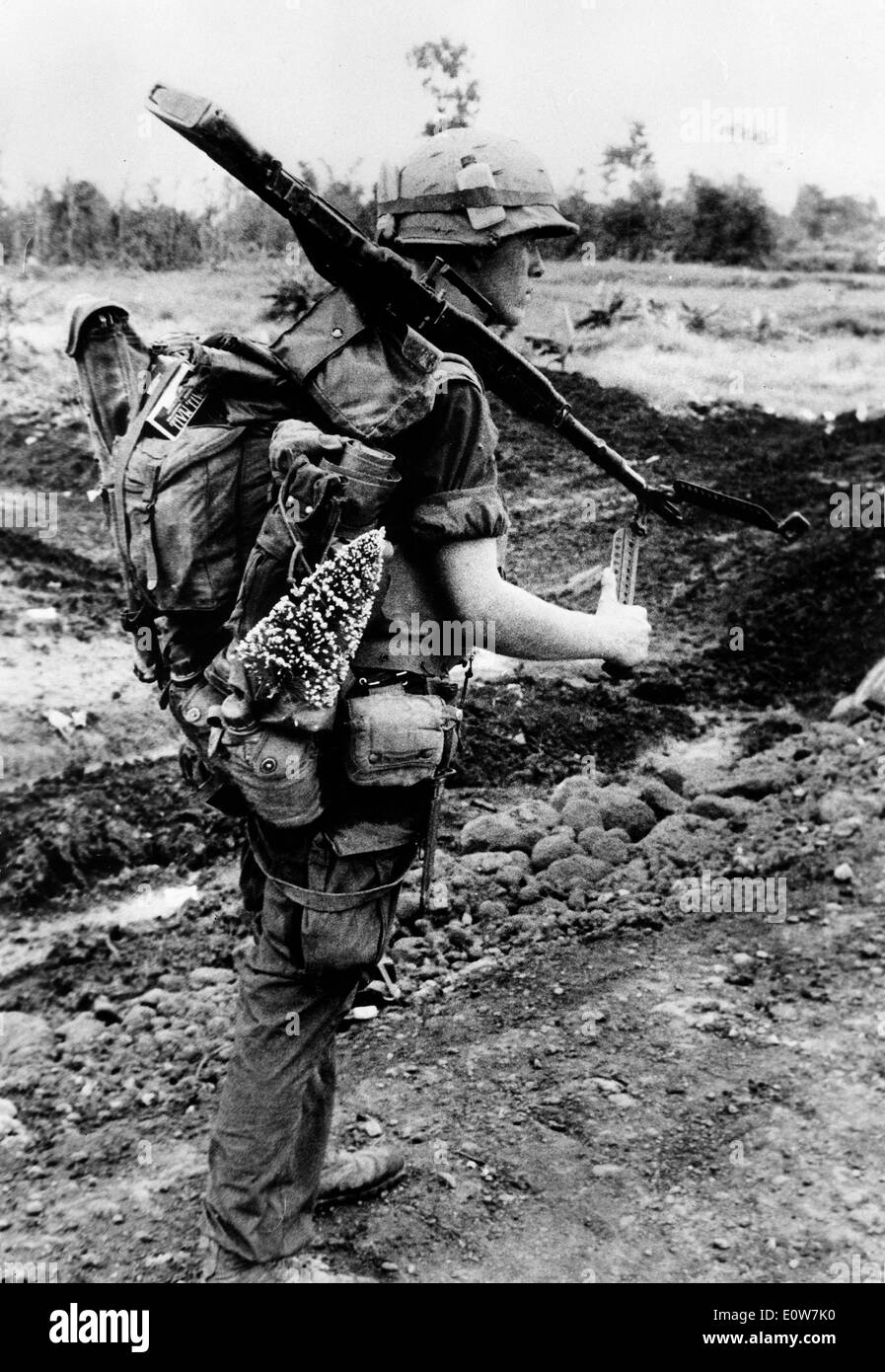 Marine carries tree while on search and destroy mission Stock Photo