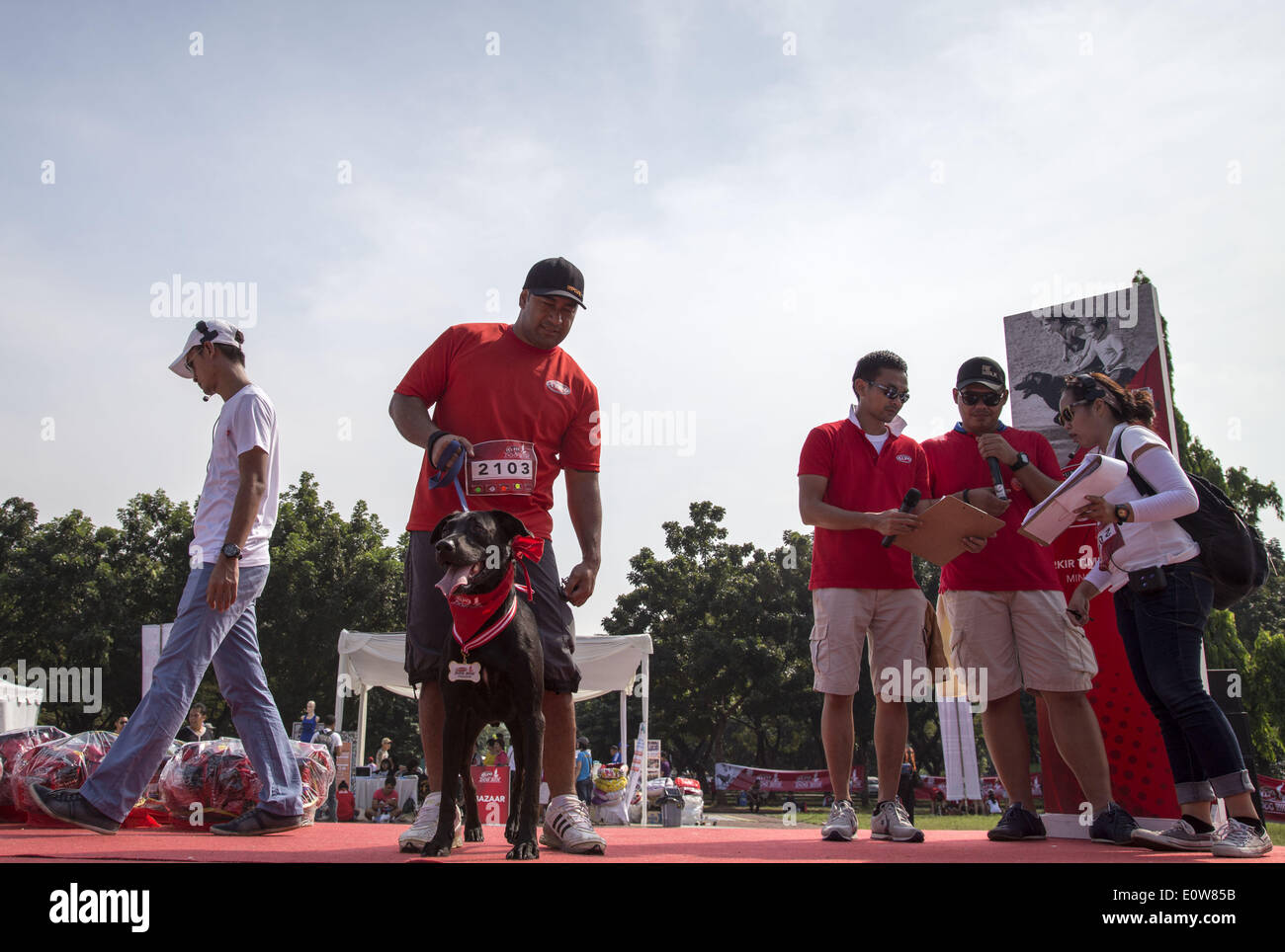 May 18, 2014 - Jakarta, Jakarta, Indonesia - Nestle Purina Petcare through it product Alpo held an event called ''Alpo Dog Run'' at Senayan Sport Centre-Jakarta. The Event is the first time held in Indonesia. Total 300 of dog owner join the event. (Credit Image: © Donal Husni/NurPhoto/ZUMAPRESS.com) Stock Photo